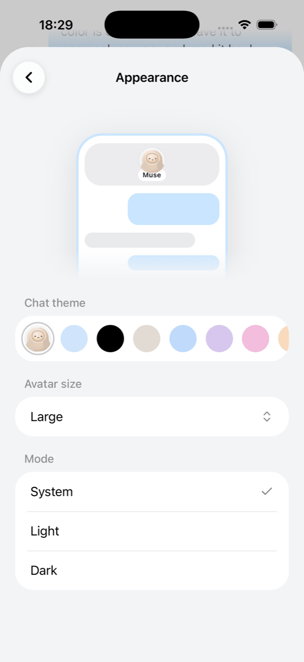 Appearance: chat theme, avatar size and light or dark mode